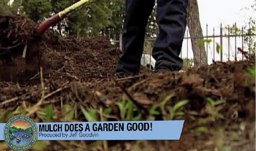 Mulch Video 2015 Mulch Video 2015