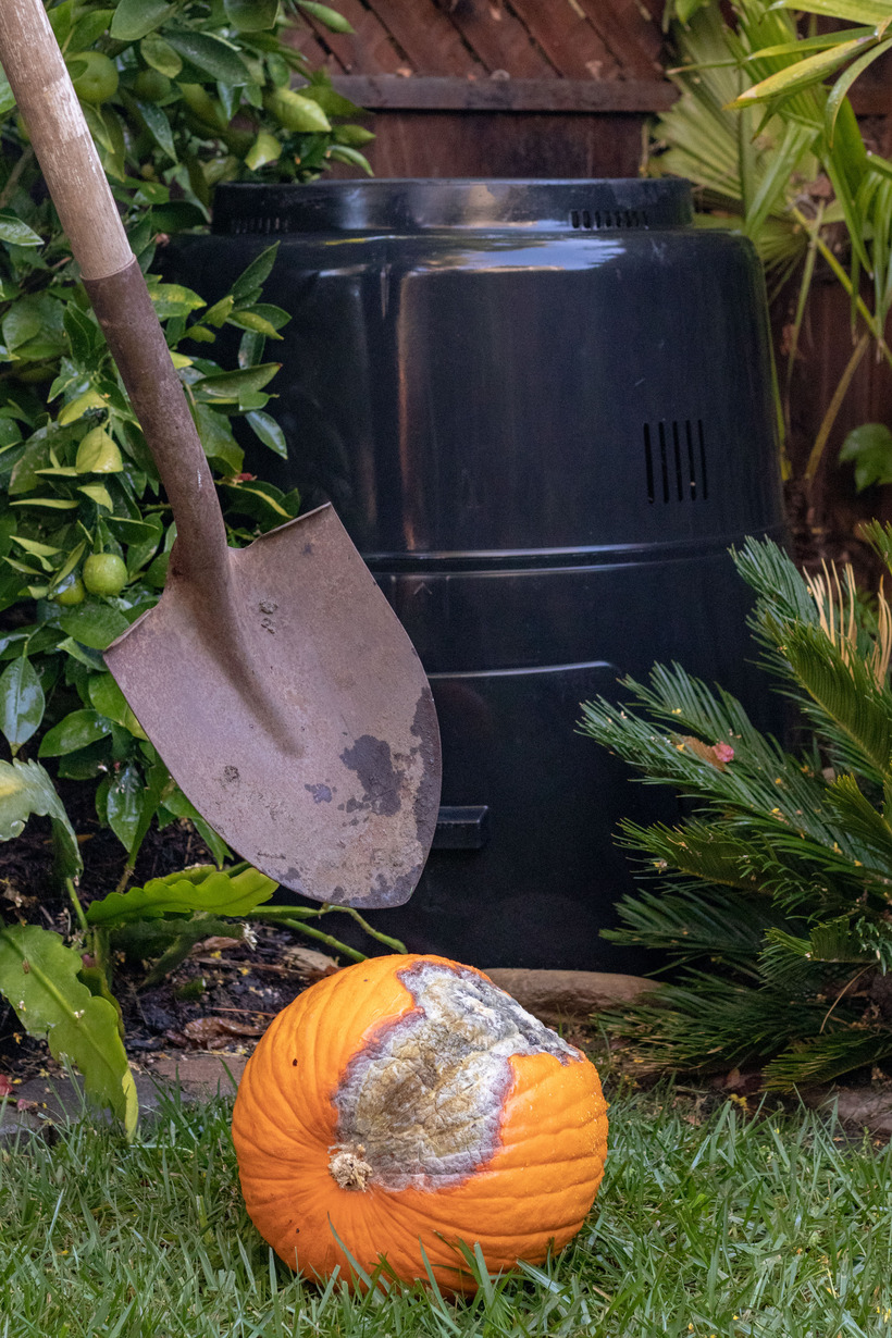 Pumpkin and Compost Bin