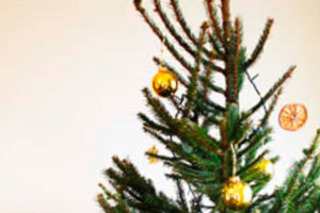 2012 Christmas Tree Picture by futureshape on Flckr original at http://www.flickr.com/photos/futureshape/2135853961/